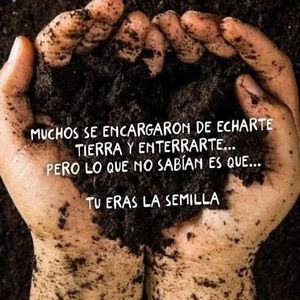 Meet your Posher, Javier